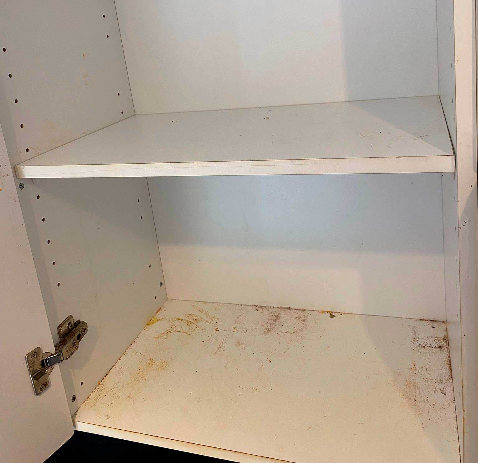 Before image