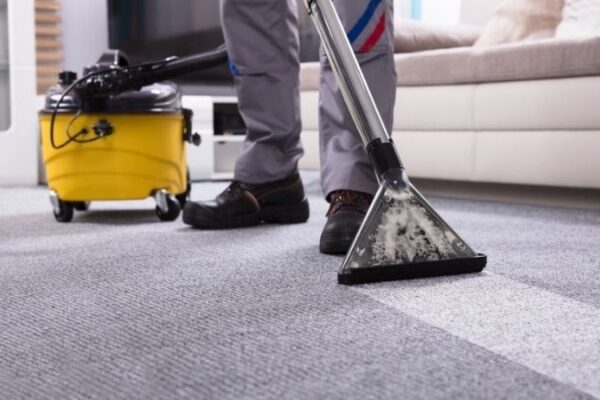 carpet cleaning carpet cleaning furniture cleaning service professional carpet cleaning sofa cleaning carpet cleaning companies