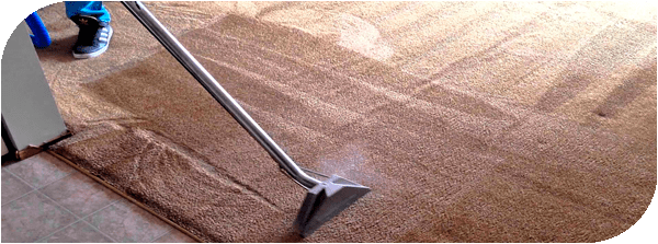 carpet cleaning furniture cleaning service professional carpet cleaning sofa cleaning carpet cleaning companies