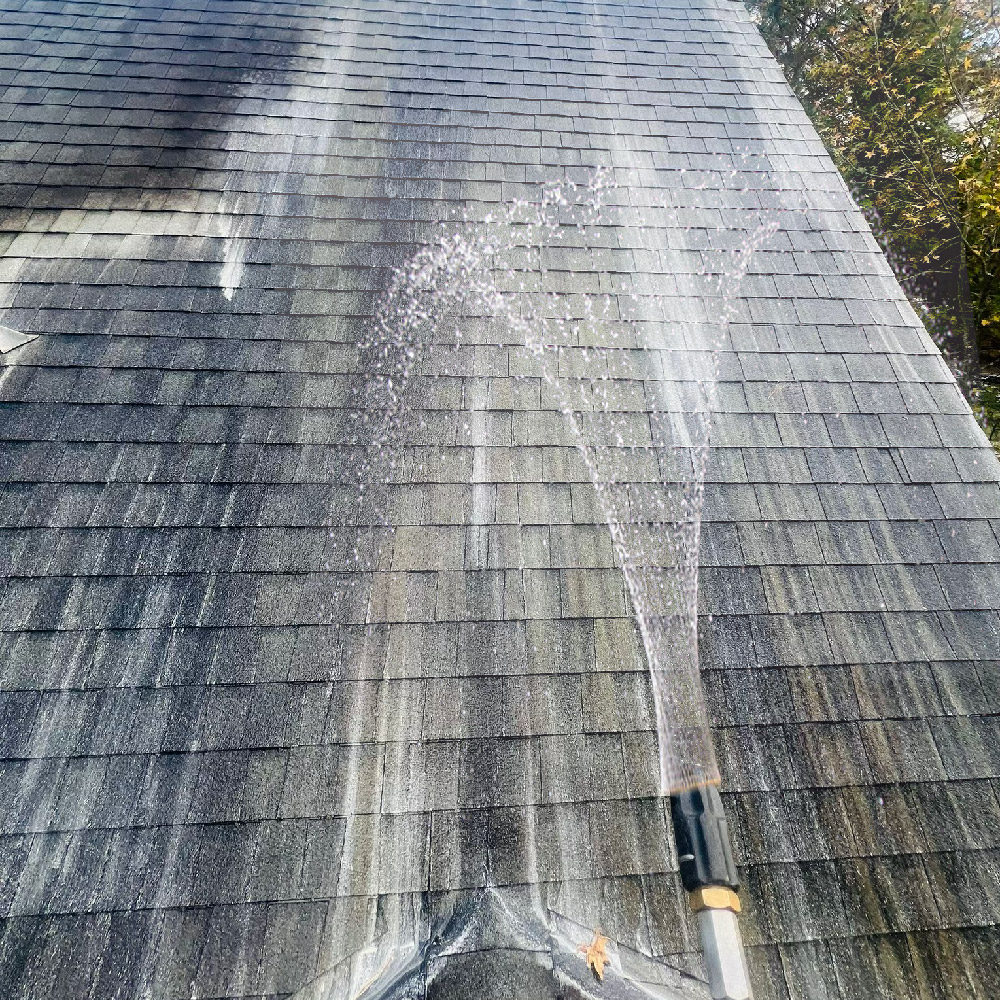 Roof Cleaning