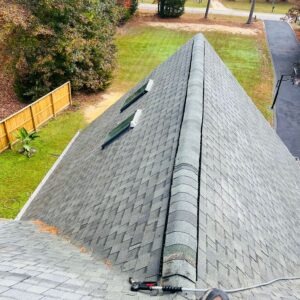 Roof Cleaning....