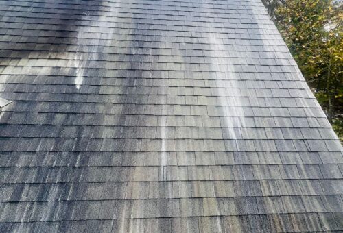 Roof Cleaning S