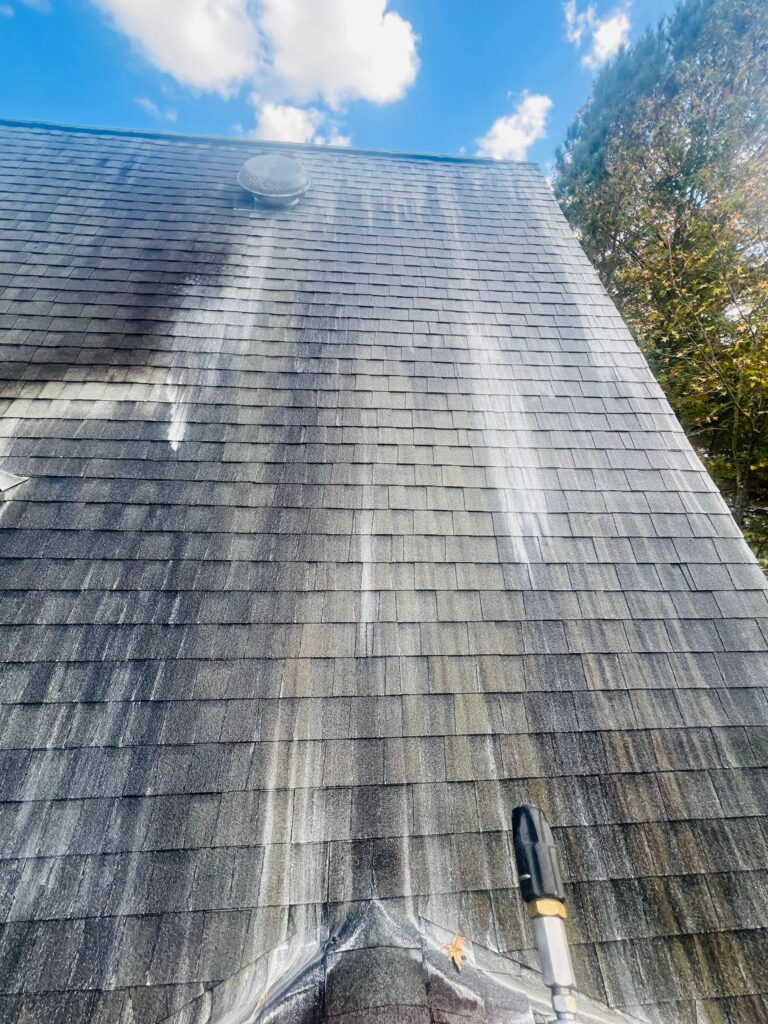 Roof Cleaning