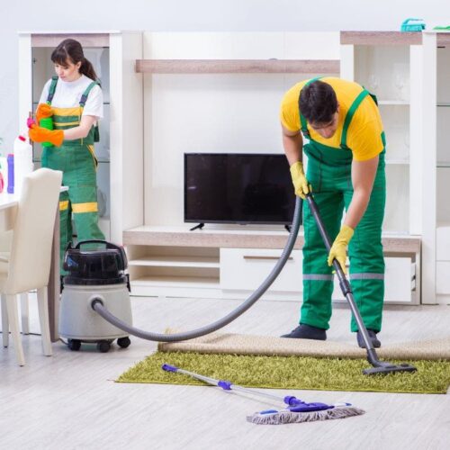 whats-included-in-a-professional-house-cleaning-checklist-included-343704