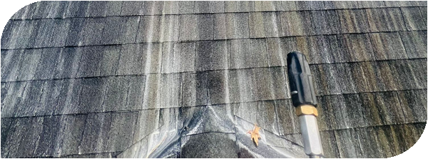 Roof Cleaning