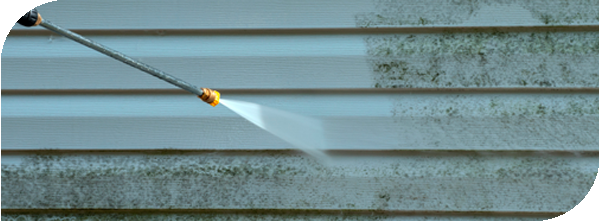 wall